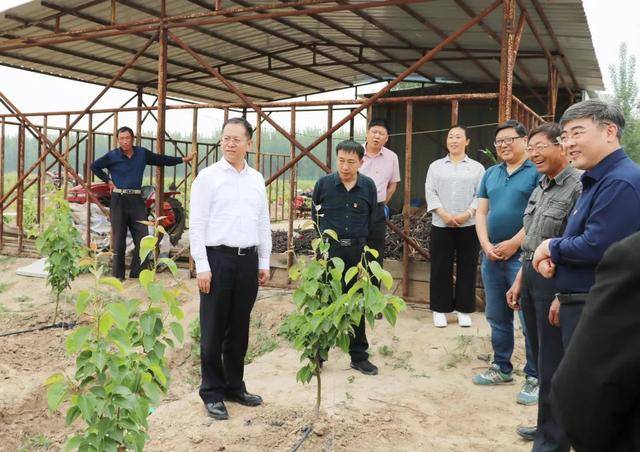 5月8日,市国资委党委书记,主任彭三,党委副书记焦文胜一行深入我镇敖