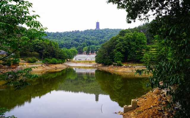 的光山縣,大蘇山國家森林公園是遊人觀山水,賞茶園,遊千年古剎淨居寺