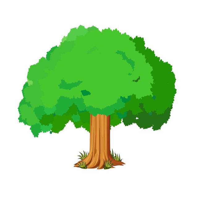 水天一色美柘里,垃圾分类家家行!