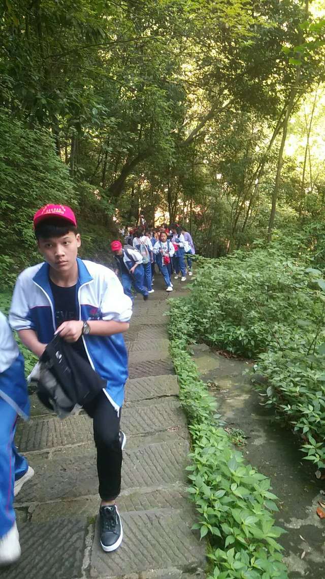 澧县三中开展高中生研究性学习活动