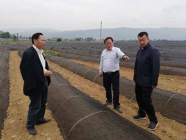 黑龙江省甘南县委副书记,县长苑正红,副县长张旭东,副县长孙彦省等