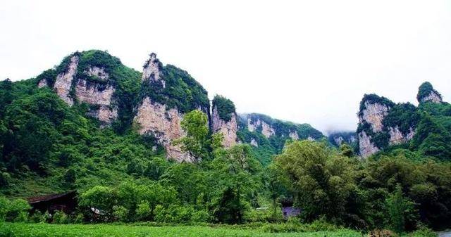 青杠塘镇:生态旅游风生水起