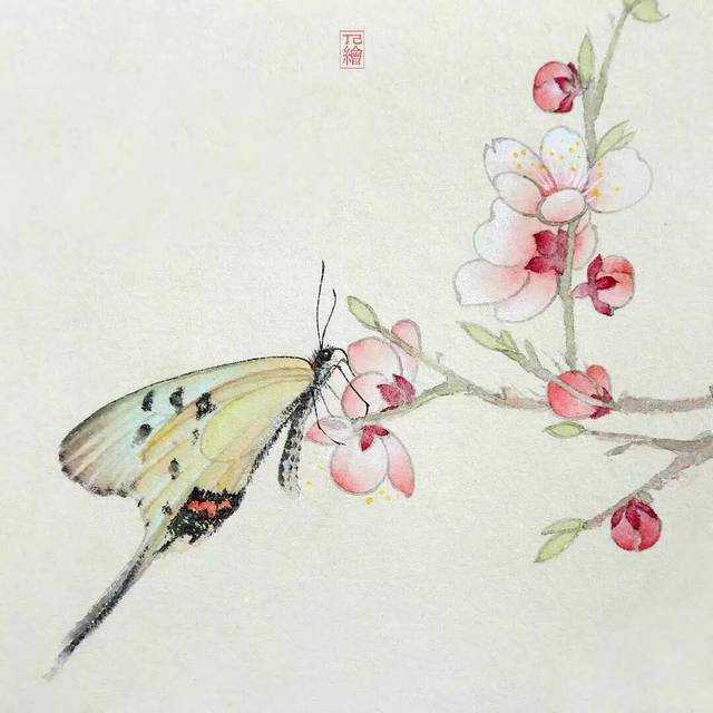 丁己|没骨花卉与蝴蝶网班招生(6月14日开课)