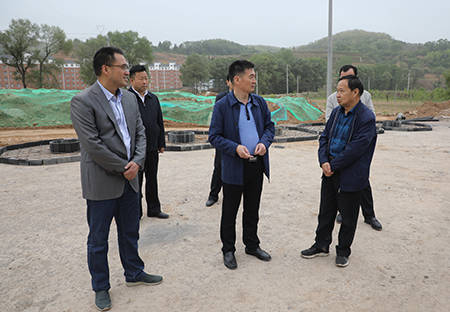 县委常委,常务副县长杨宏亮参加检查.