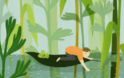 webp 是图片格式的发展趋势 又拍云 cdn 服务支持一键开启 webp 自