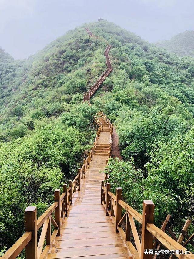 京郊爬山好选择,木栈道一通到底,漫步山间,满眼苍翠