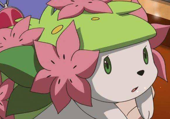 《精灵宝可梦》图鉴492:在葛拉西蒂亚花开的季节出现——谢米