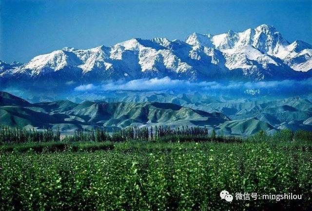 长风万里度玉门,关山明月照豪情。▍古琴曲《