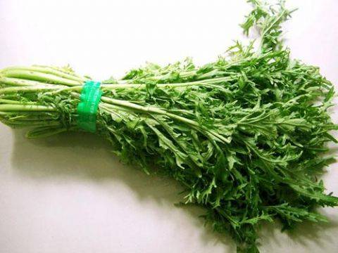 农村"抗癌草"比金银花强100倍,可杀死"癌细胞",只要几块钱!