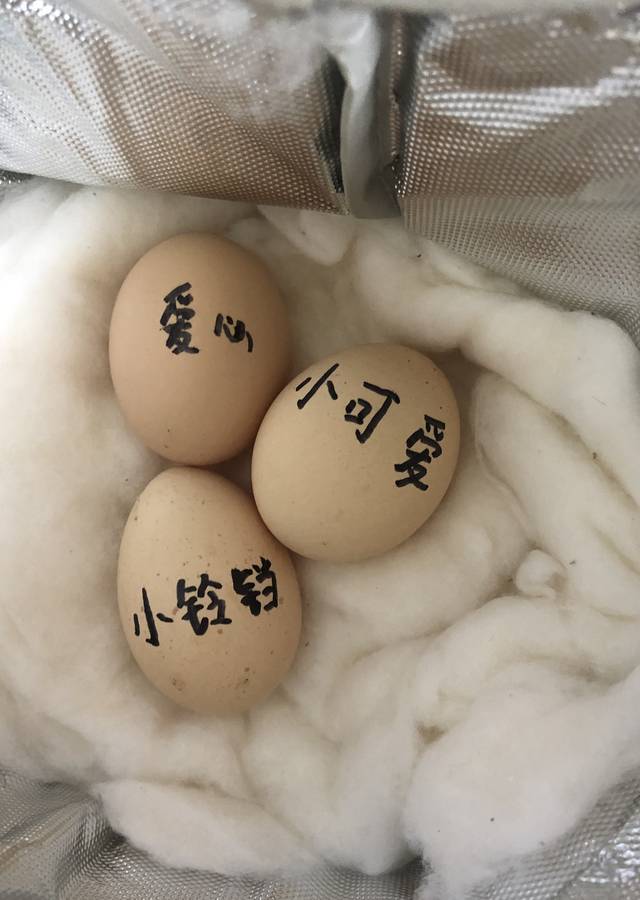 武陵源区释迦乐蒙五班小朋友为蛋宝宝取名字