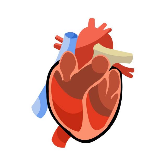 简讯美国心脏协会aha心血管急救培训中心在我院揭牌成立