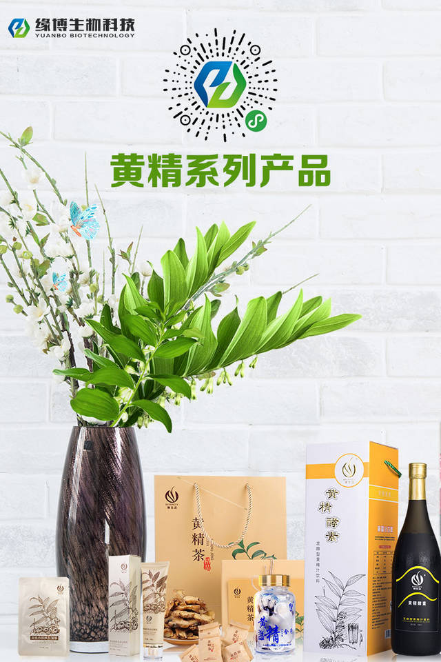 黄精酵素疗法与药物治疗的区别