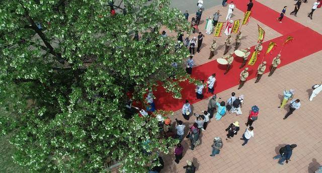 营口61仙人岛第十二届海滨槐花节启幕!