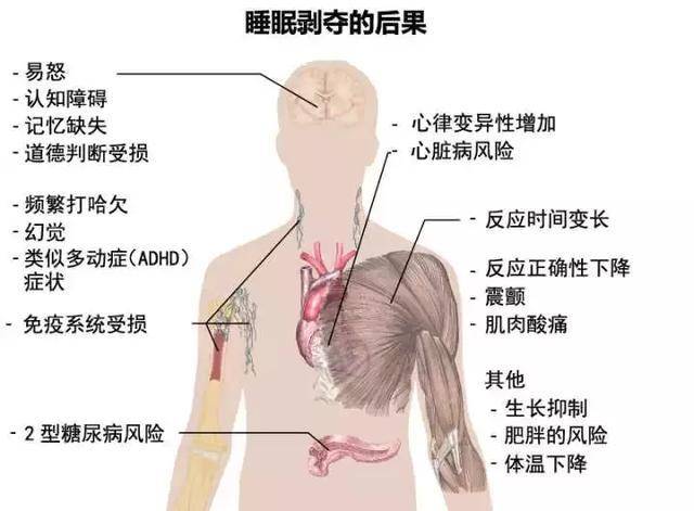 王者荣耀主播猝死