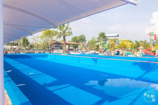 兴宁终于有高端的游泳池了!就在苏林湾!现在正式开游泳班了!