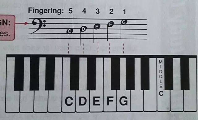 鋼琴入門指法教程(零基礎學習鋼琴-鋼琴1234567指法)-第8張圖片-索考