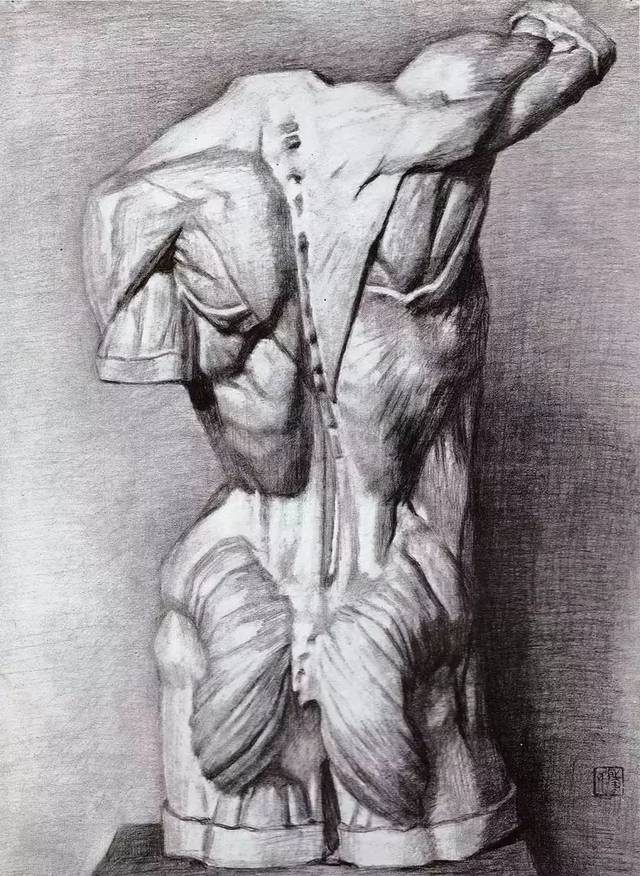 人体解剖素描参赛图图片