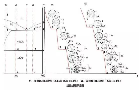 Ⅶ,过共晶白口铸铁 (c%>4.