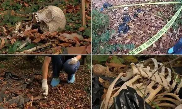 且新尸体还在不断补充.