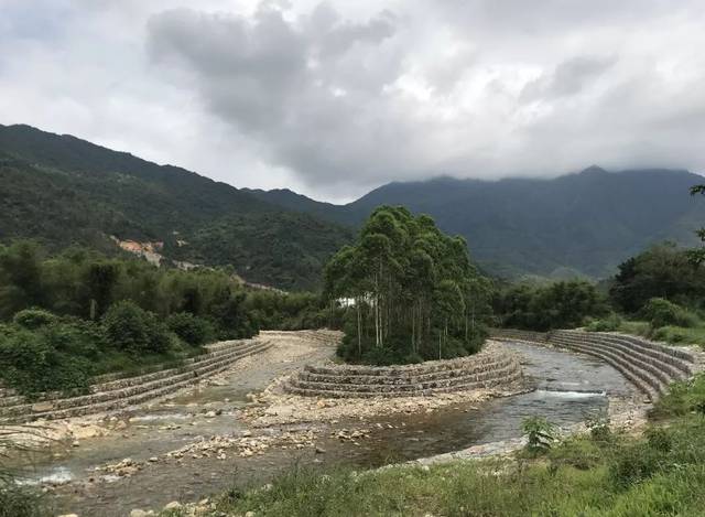 惠东这条村,有"宝!