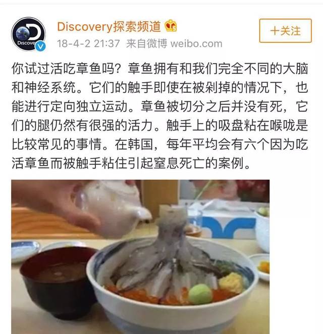 女子直播生吃章鱼被反杀!拔不下来了,视频超