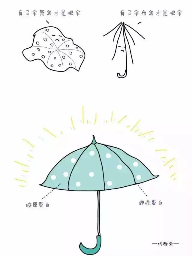 都是眼窝凹陷,为什么袁泉好看,赵丽颖郑爽却显