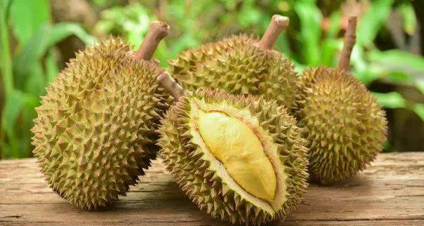 榴莲、山竹、火龙果英文的内涵是什么?简直