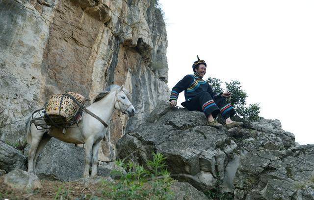 理想与现实夹缝间的 唐代农民土地问题