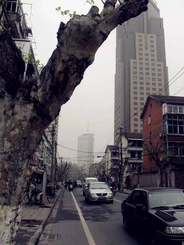 六安路基板租赁