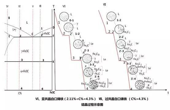 Ⅶ,過共晶白口鑄鐵 (c%>4.