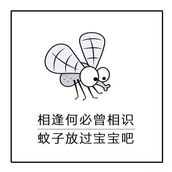 蚊子表情包:枯藤老树昏鸦,蚊子滚出我家