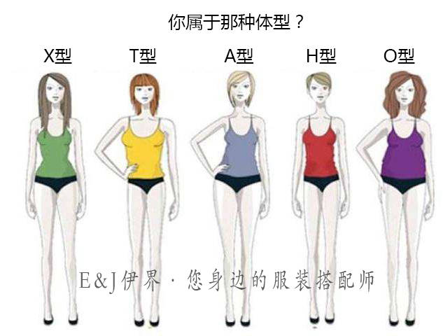 你知道你是哪种体型吗?