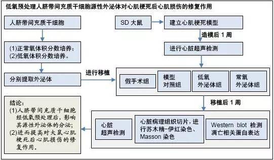 骨髓干细胞5篇文章:骨髓间充质干细胞对心脏死亡脂肪变供肝移植后肝