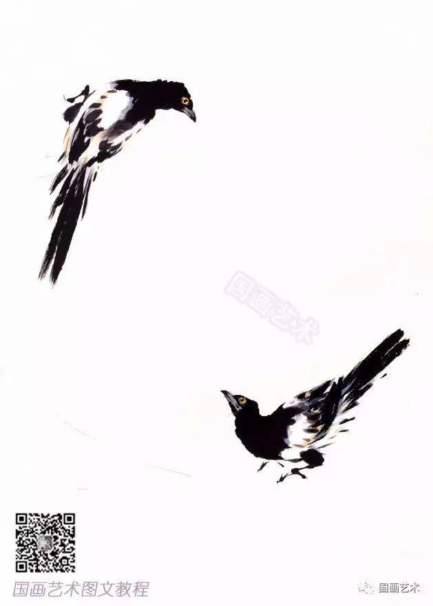 图文教程:一学就会画写意喜鹊