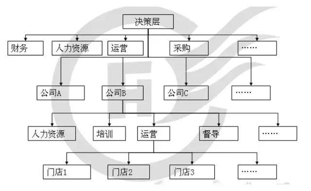 也就是说, 混合型组织架构是在总部之下发展不同的公司或者不通的品牌