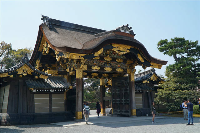 日本:京都,二条城热烈奔放之樱花"夜来舞"