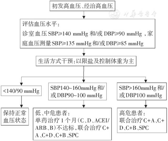 【基层常见疾病诊疗指南 】高血压基层