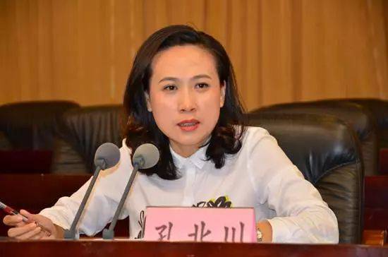 市委副书记孔北川讲话