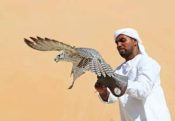 一名驯鹰师正在进行训练.