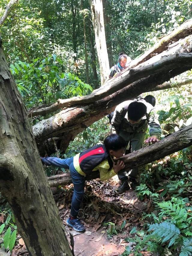 西双版纳热带雨林探险之旅