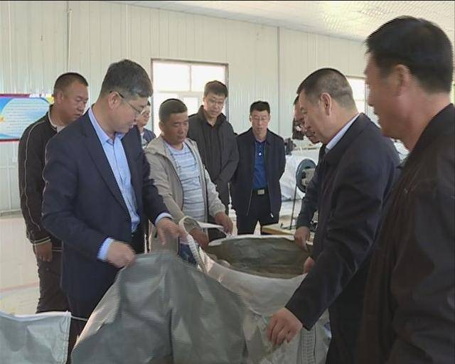 县委书记王兵深入部分乡镇进行调研_手机搜狐网