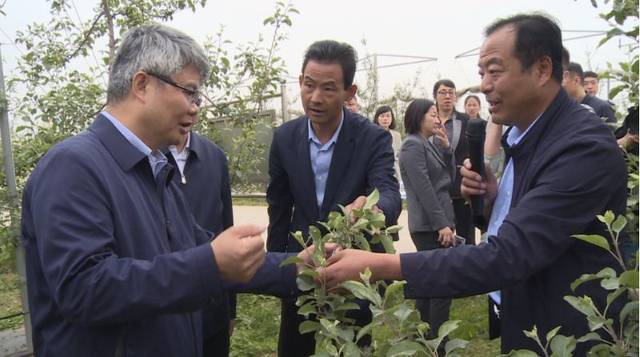 中銀富登村鎮銀行董事長王曉明,中行陝西分行行長吳敏一行來我縣調研