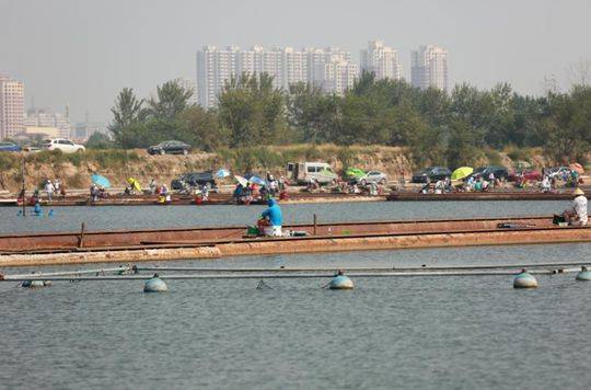 大炮坑垂钓攻略-静海花园篇