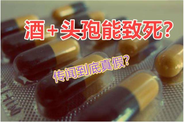 啤酒加头孢睡一觉毙命图片