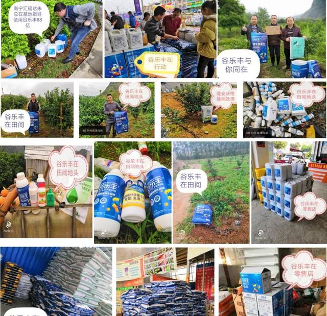 【精品农资】谷乐丰系列产品在柑橘上的应用