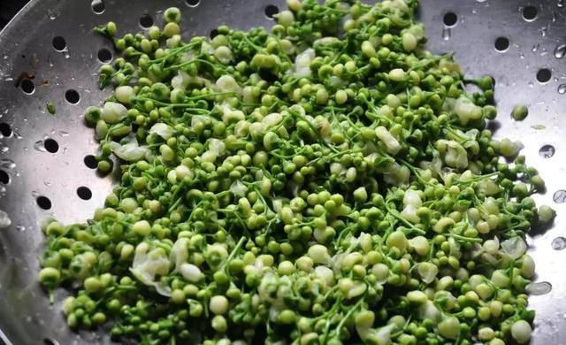 大别山特产 野生花儿菜  来源:县阳光村务> 花儿菜香椿炒鸡蛋县阳光