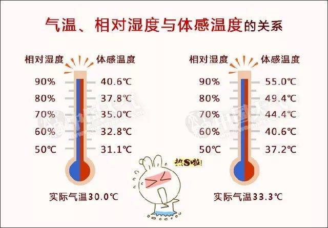 人体内部温度图片