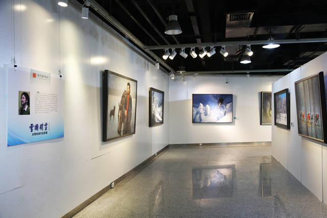 "雪国精灵——冰雪绘画作品联展"在山西大学美术馆展出