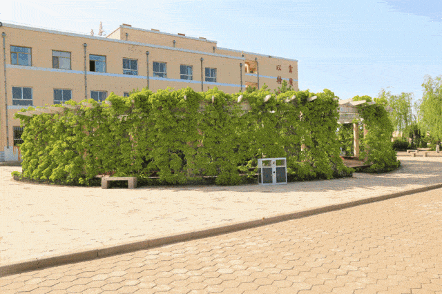 高考倒计时12天,镜头实拍神木高三学子备考时光:只要学不死就往死里学