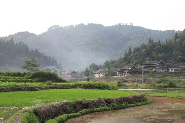 渭川田家